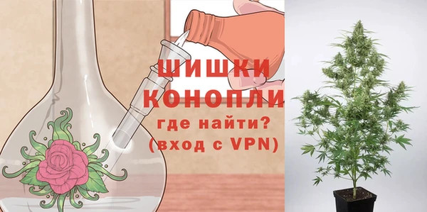 бошки Арсеньев