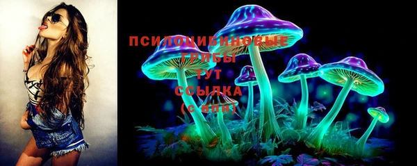 бошки Арсеньев