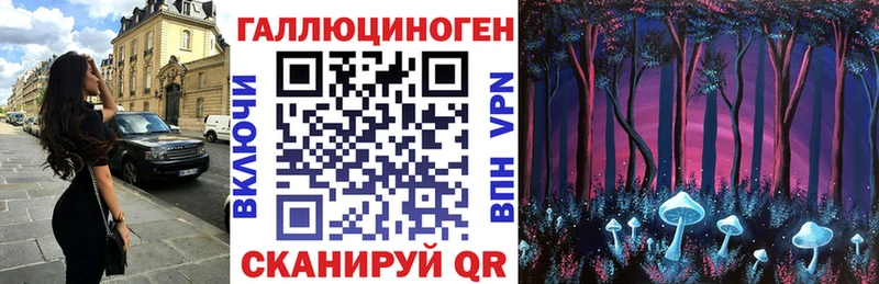 Псилоцибиновые грибы Cubensis  hydra   Покровск  где продают наркотики 